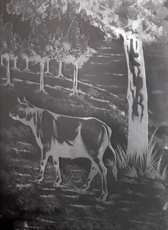 Glast&uuml;ren aus Paris Jugendstil Fichte/Tanne