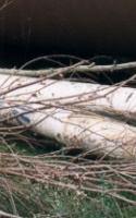 Antike Zäune & Säulen 0 